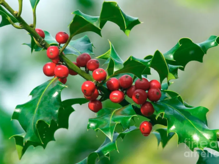 A46E6A9C-FC7F-49DD-9670-B71BF1ECE7F6