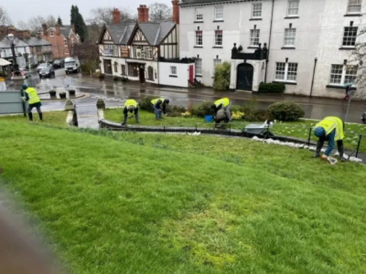 Adas Snowdropping 2022