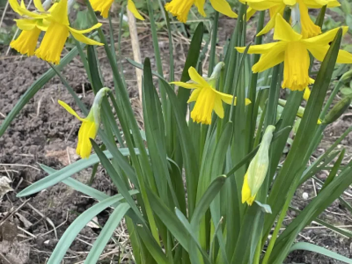 AA9D475B-585D-4218-ACBA-1A19BE456716