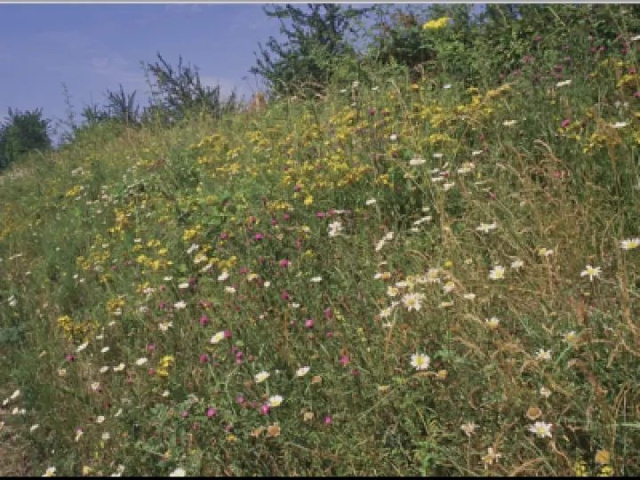 C2EBCFB3-3686-4CCB-ABB3-FD509F475B9B