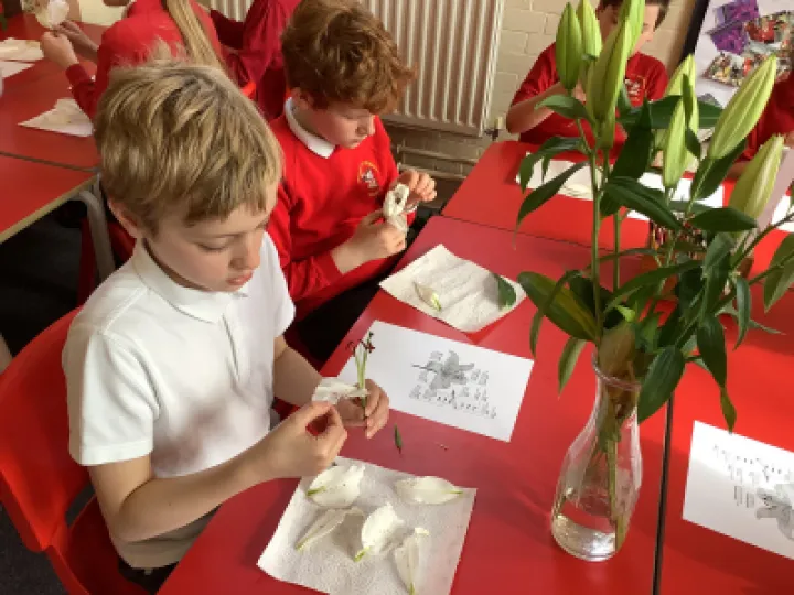 D1B8B338-6EC7-4B1D-86BD-F12AE09C7FA1