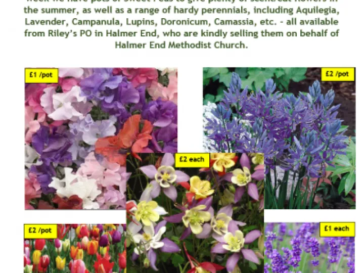 Rileys Flyer 4th April 2022