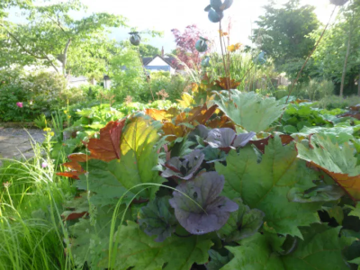 Flower Club JUne 2022 P1040151