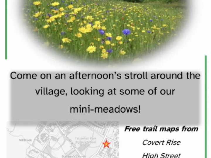 099B82B8-04BC-49E6-AB5A-D5FF092CCDFF