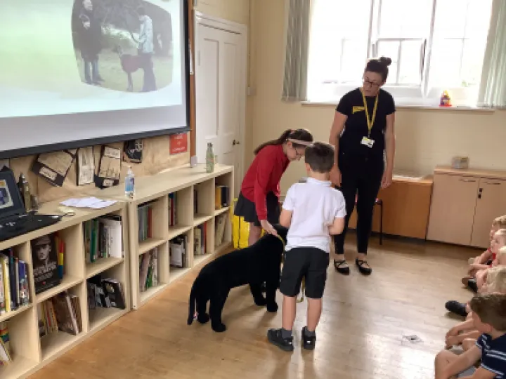 298F2531-5FEF-4412-B6AA-6F81661F6840