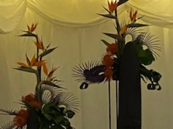 FlowerFundRaiserIMG 7955