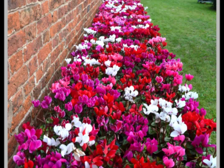 Pj 20220910 100449 0012