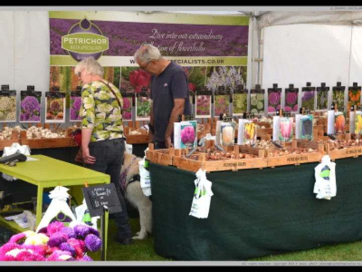 Pj 20220911 101218 0003