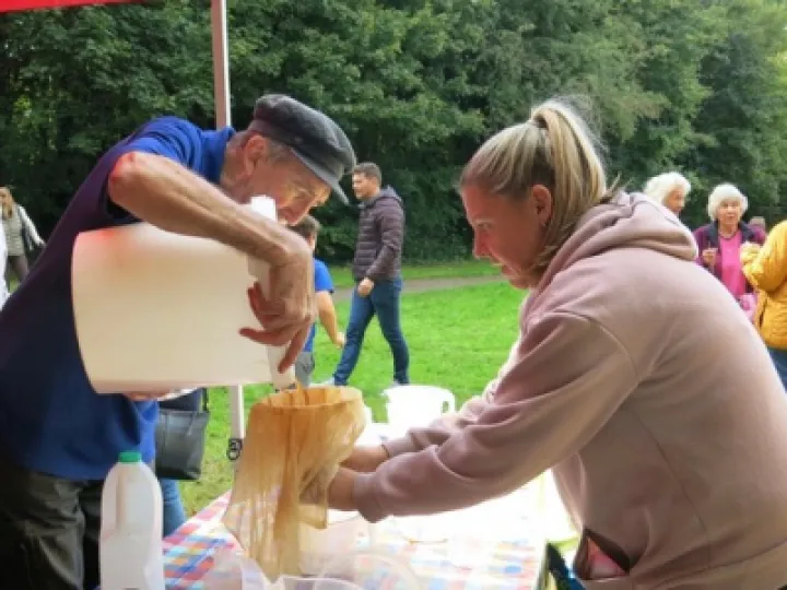 Apple Pressing – Straining the juice