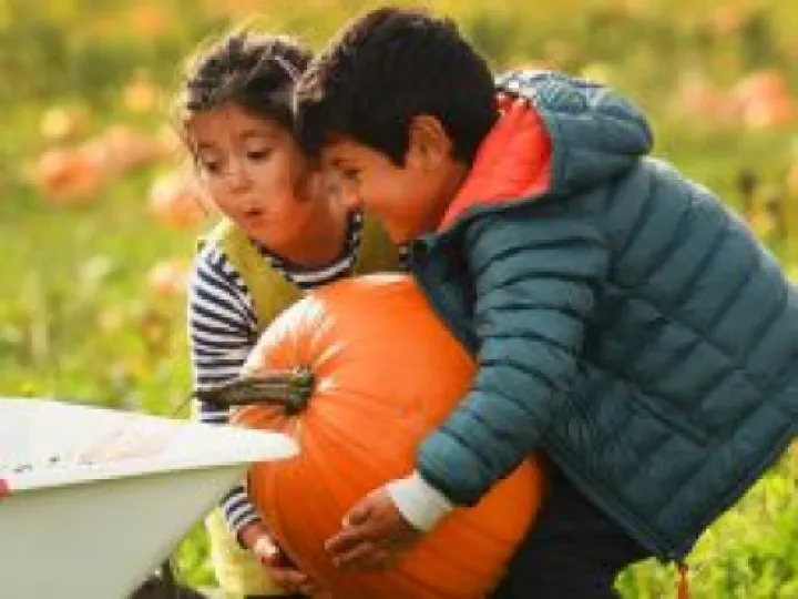 children-with-pumpkins-226x170