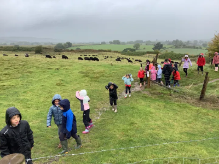 45C7B227-A406-43E1-8FB6-EE19891900D1