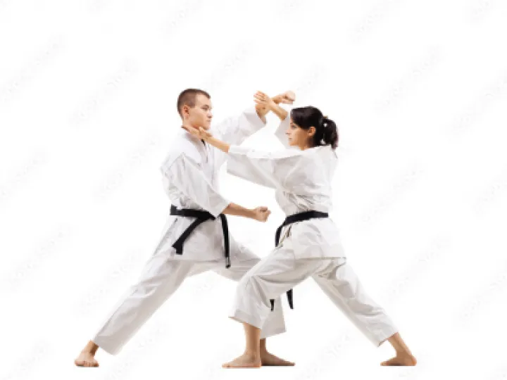 Karate adults