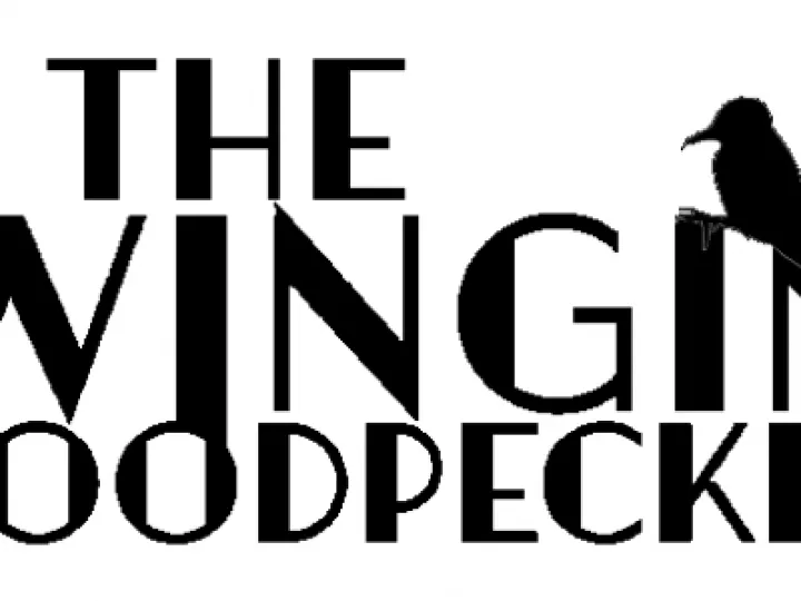 swinging woodpeckers white background