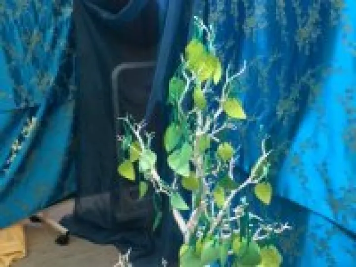 Prayer Tree &ndash; Lifepath