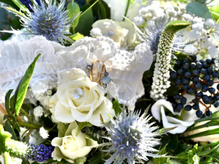 CFA1C2DA-B269-4FB0-BC78-2696B456A77D