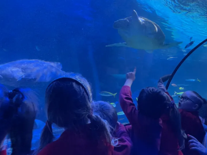 Screenshot 2023-01-30 at 15-17-21