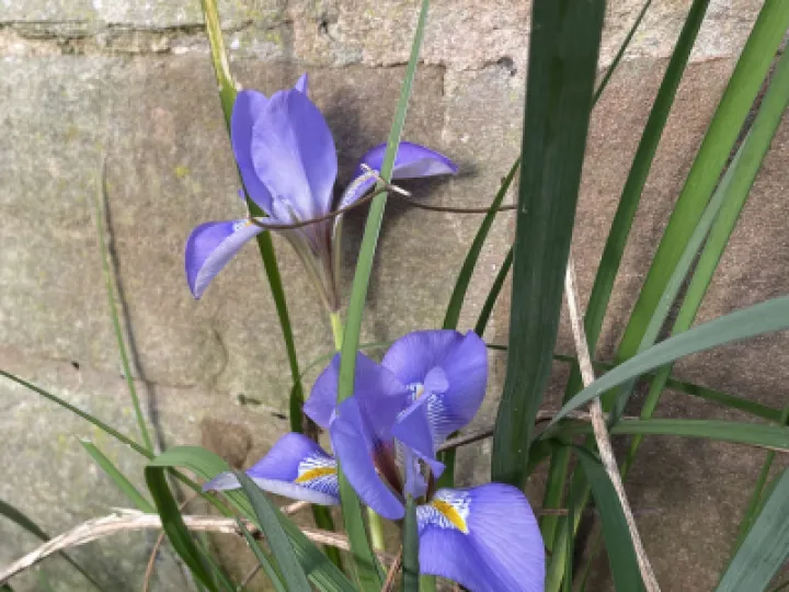 61A3B737-DCDE-48D5-8DE6-7048D8267633