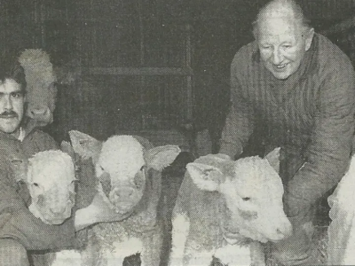 Triplets at Hochenhull Farm Jan 1996 PhotoScan