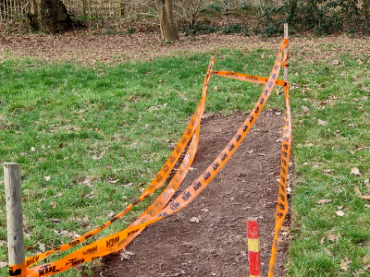 TCW Wild Meadow Flower Patch IMG20230219152728[367315]