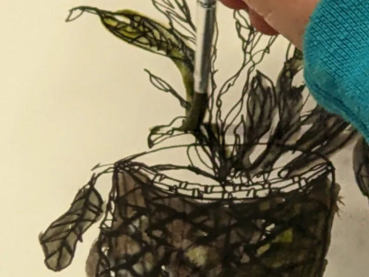 PXL_20230301_162814161