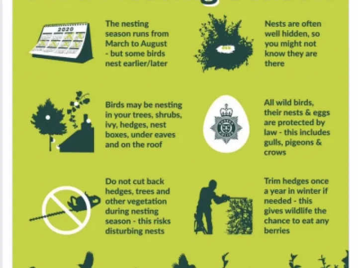 D4718B99-375C-4169-A59F-CFF062461AD6