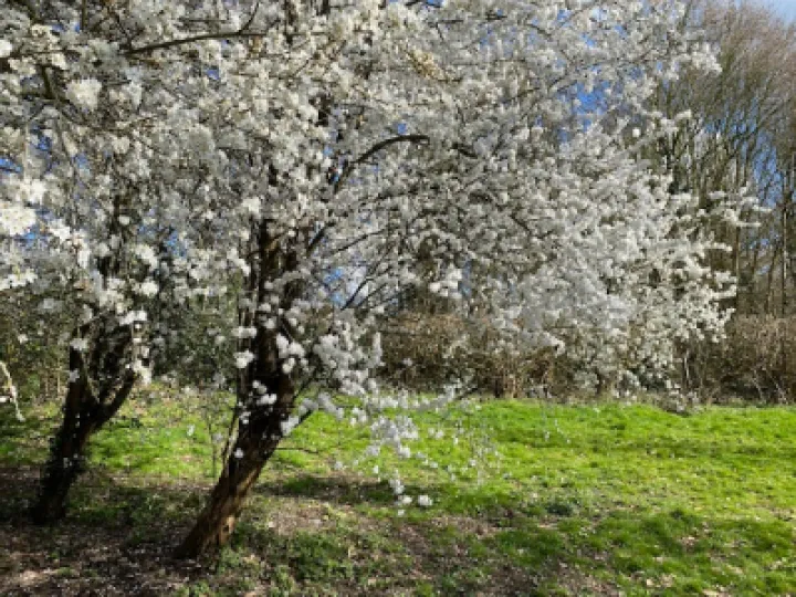 Keith Barker Photos March 2023 2ba660a5 f7d8 454c a403 418085140dcb (1)