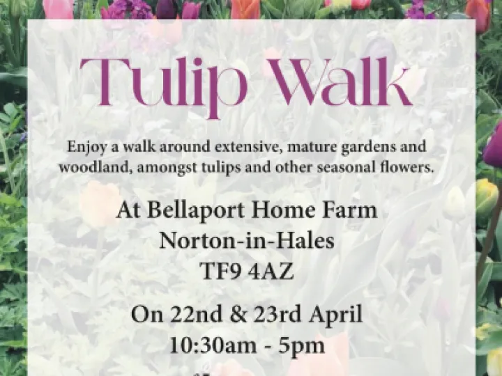 Tulip Walk