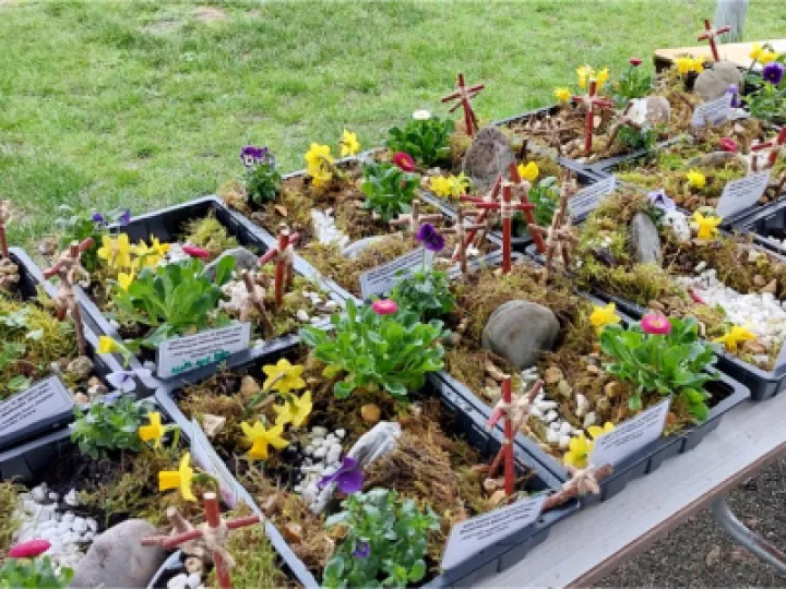 A few of the completed gardens