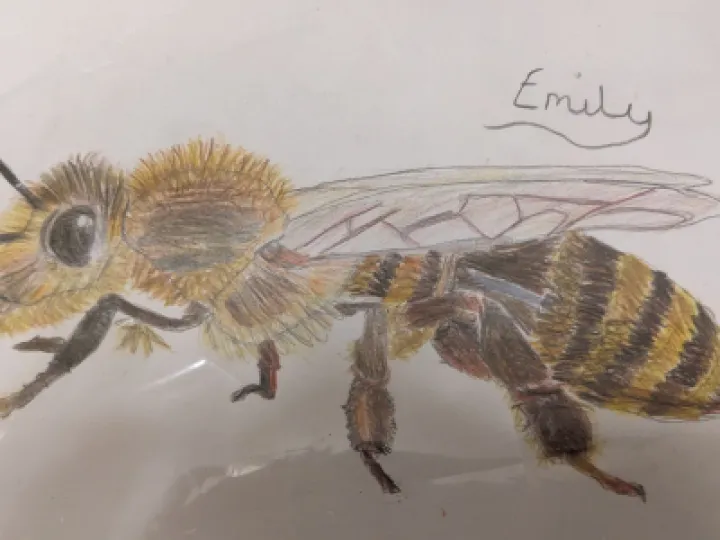 PXL_20230417_115146953