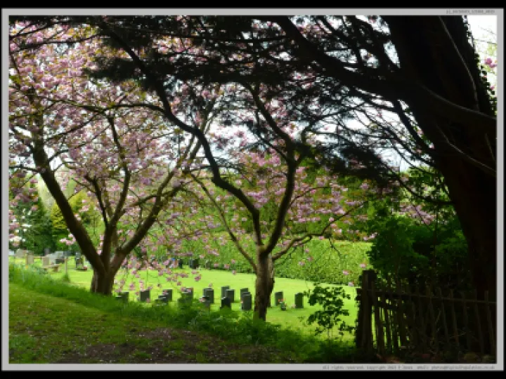 Pj 20230429 121001 0019