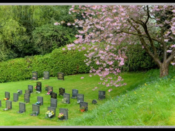 Pj 20230429 121430 0031