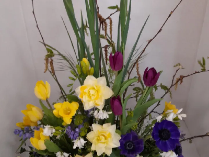 Image: 20230429 105153 001