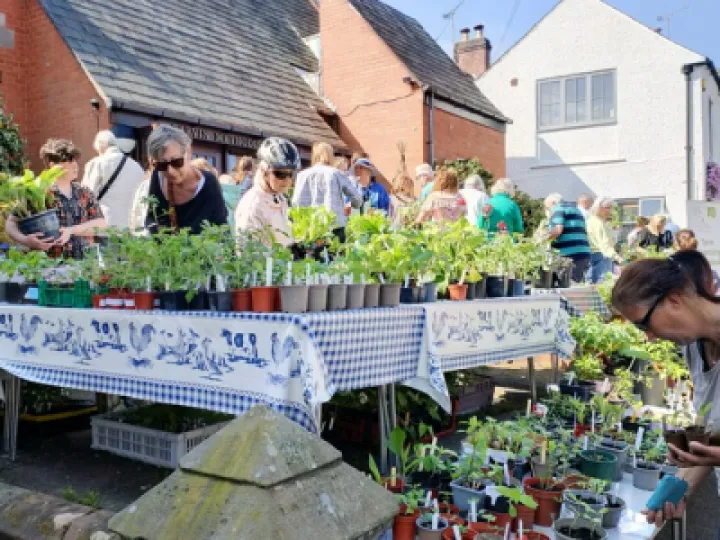 TWT Plant Sale 2023 ba890fe3-5f67-4cbf-896e-5fdc0bdca5ee[374045]