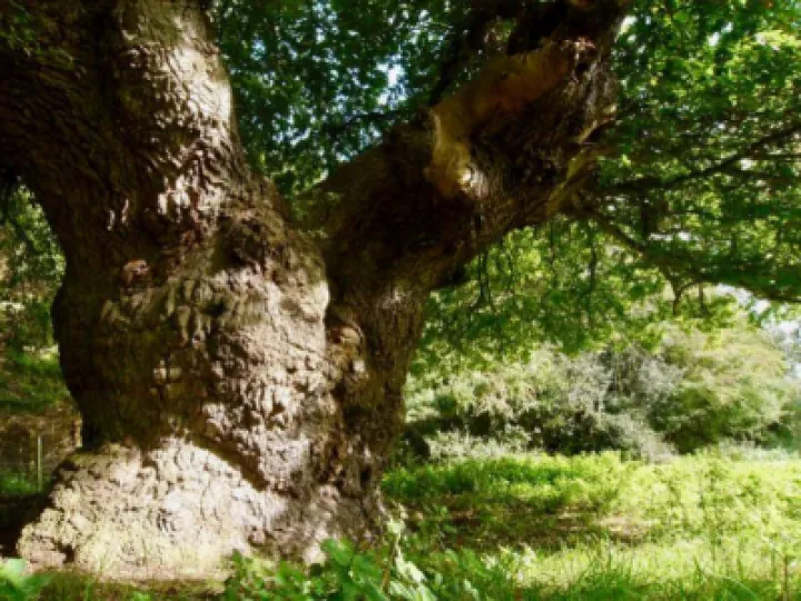 image-21687938486030521763image64605225168069944316n-1-M486158