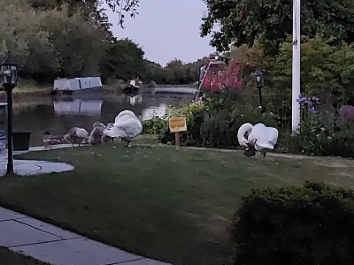 Flower Club Firs Garden June 2023 RG 20230614_222149