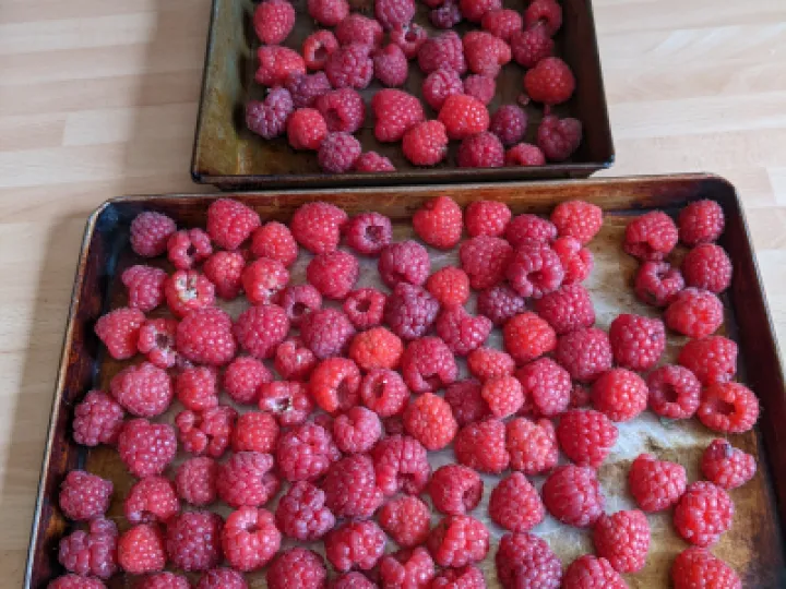 raspberries1