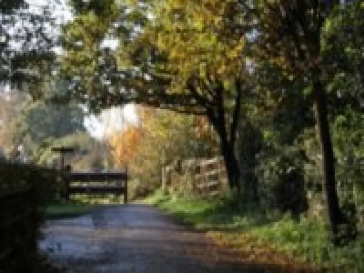 woodland walk letterbox