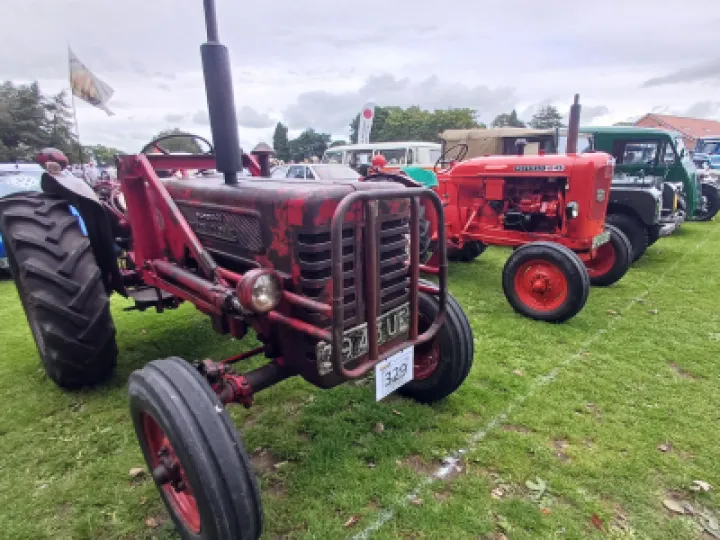 Helen Mayrick &ndash; TP Festival