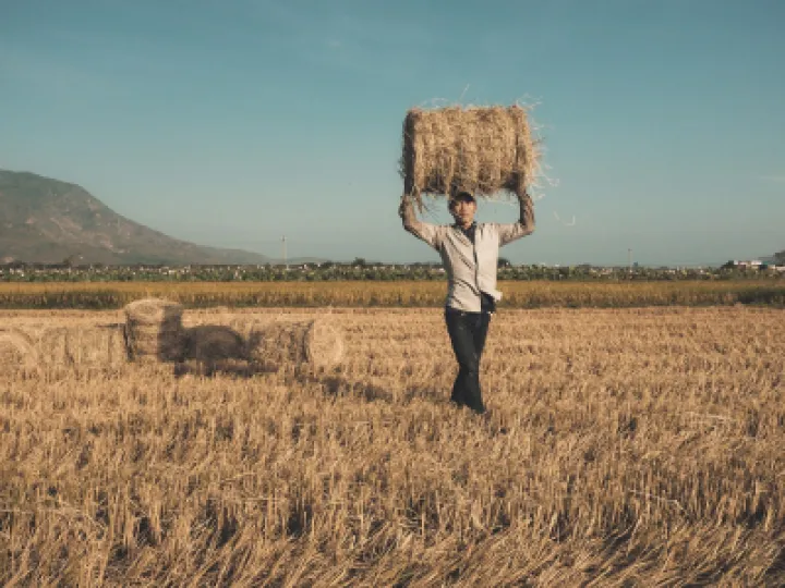 hay-bales-gcd97b4736_1280