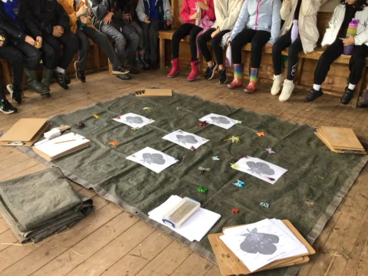 FF8BCE8C-D32B-4505-9FBE-E3279DE86A49