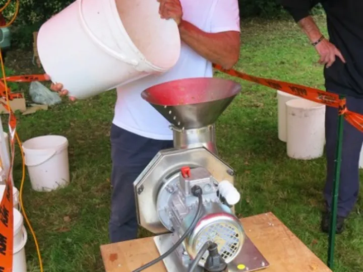 Apple Pressing 8