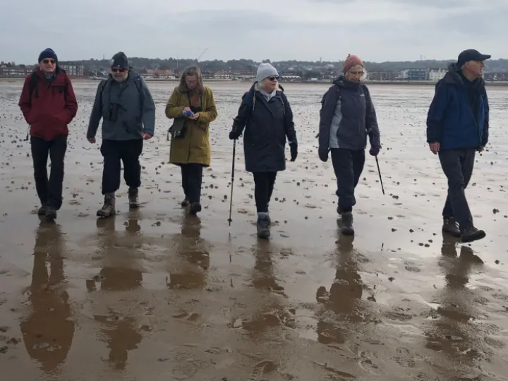 98b00ae2 90b1 4a21 9af2 34fa22d18f56