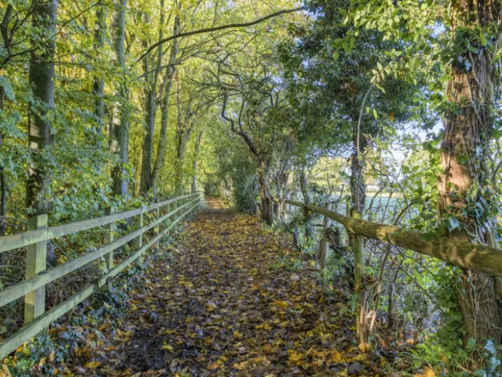 Image: 20231111 120051 01 HDR