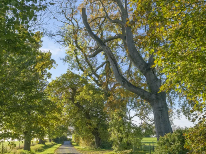 Image: 20231111 103857