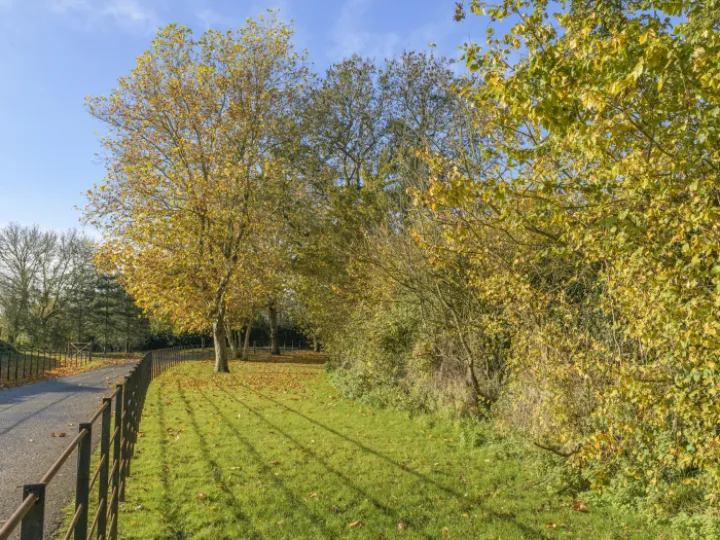 Image: 20231111 104301