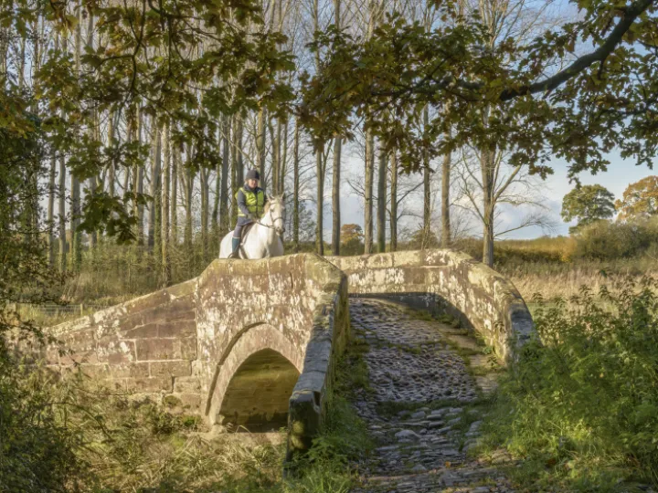 20231111-110634-Enhanced-NR