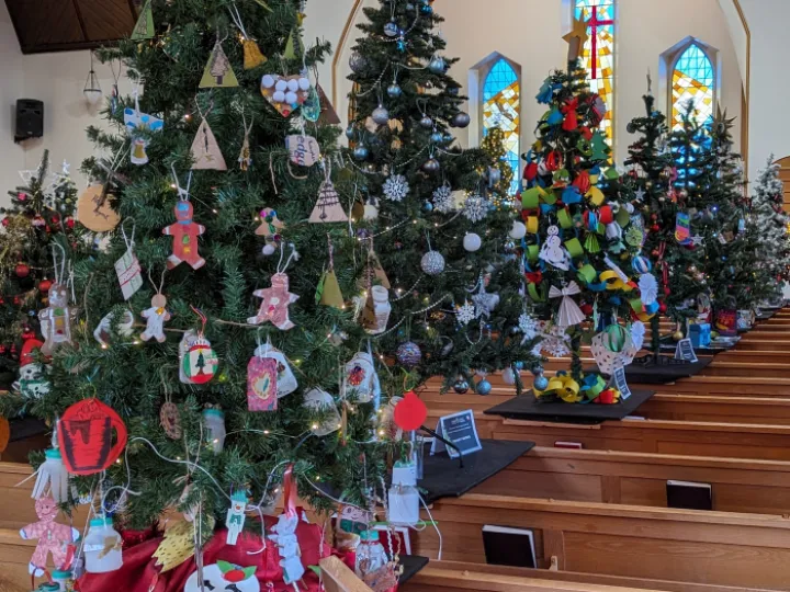 Pxl_20231211_114707332