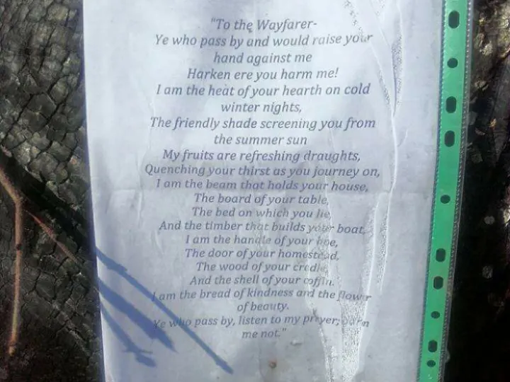Poem at Ox heys