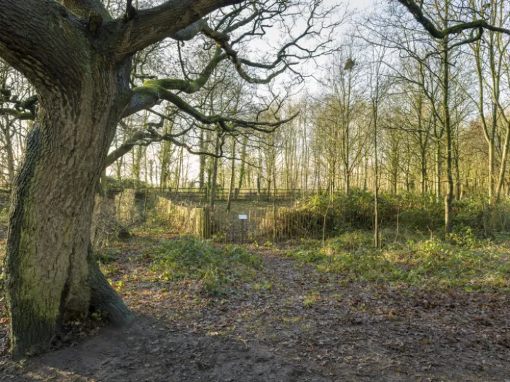 20240106-141752-Enhanced-Nr