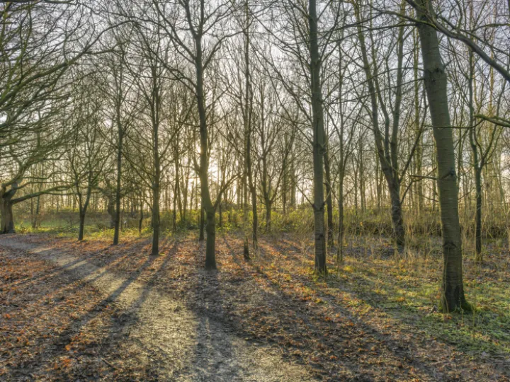 20240106-141942-Enhanced-Nr